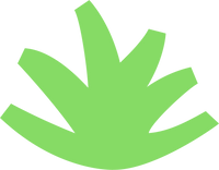 Organic Aloe Vera