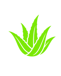 Organic Aloe Vera