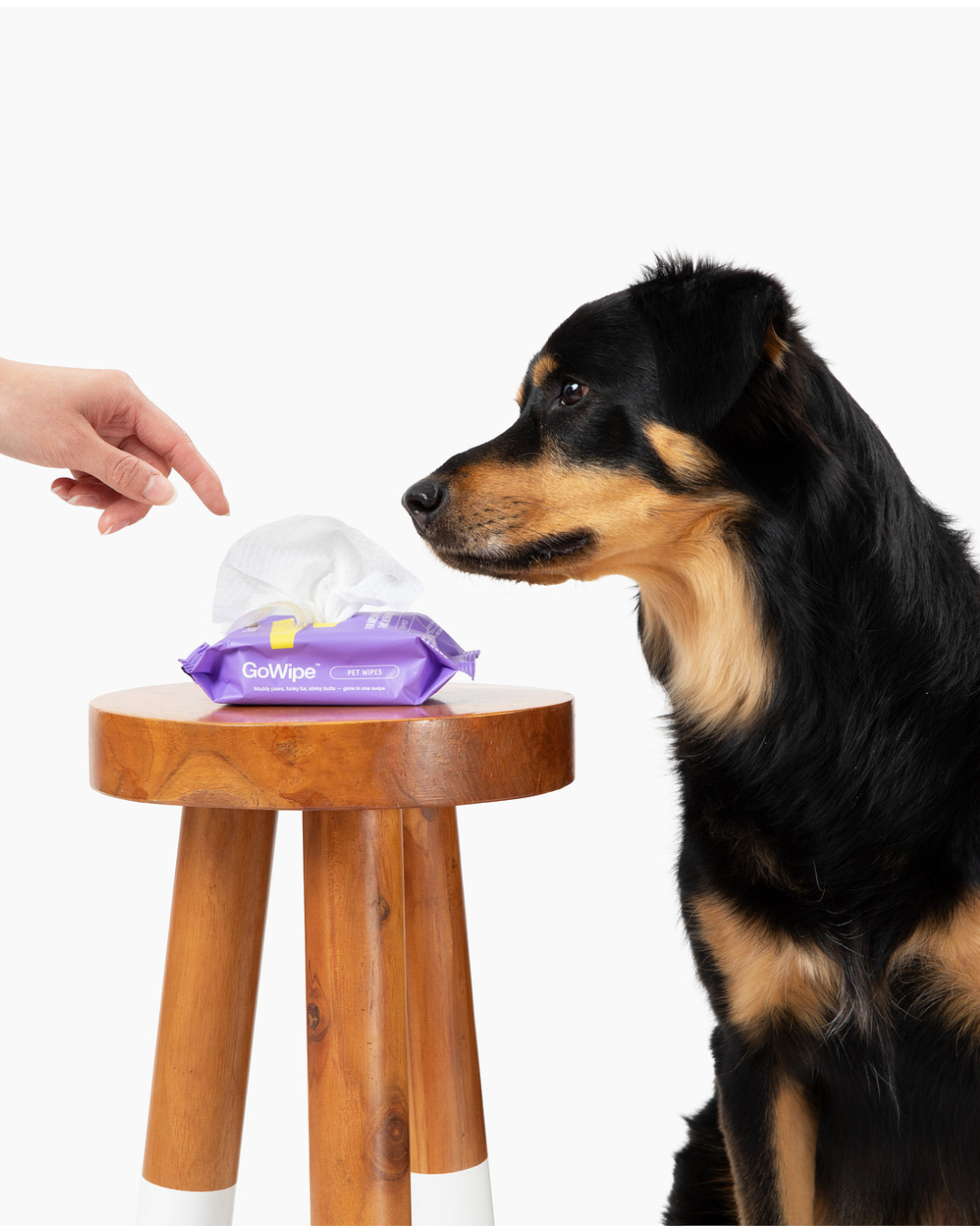 PET WIPES BULK CASES