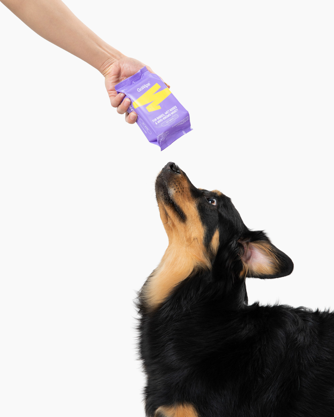 PET WIPES BULK CASES