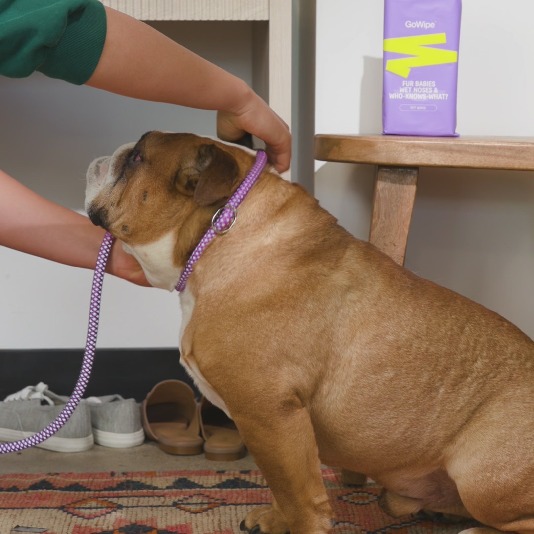 PET WIPES BULK CASES